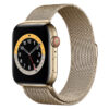 Apple Watch S6 LTE 40mm viền thép dây thép vàng