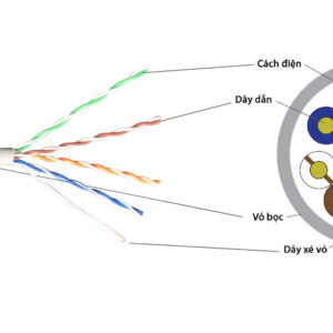 Cáp DINTEK Cat5e UTP 100m có cấu trúc 4 cặp dây xoắn đôi