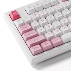 Bàn phím AKKO 5098B Prunus Lannesiana (RGB / Hotswap / Akko V3 Piano Pro) - Ảnh 5