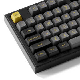 Bàn phím AKKO 5098B Black & Gold (RGB / Hotswap / Akko V3 Piano Pro) - Ảnh 6