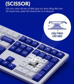 Phím chuột không dây AKKO MX108 (Bluetooth – 2.4Ghz – Black & Cyan / Blue on White) - Ảnh 3